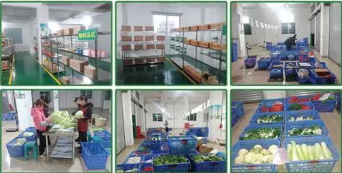 煜鮮農副產品配送 從田間到餐桌，守護您的每一餐新鮮